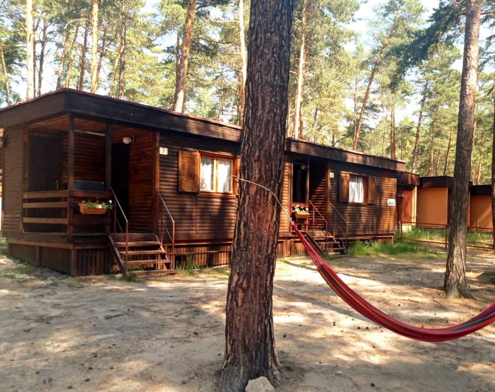 a cabin in the woods with a red hose around a tree at Chatová osada OÁZA in Doksy