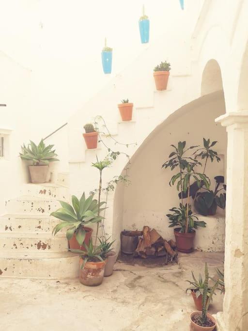 Fotografie z fotogalerie ubytování Casa Cimita in der Altstadt mit Balkon v destinaci Tarifa