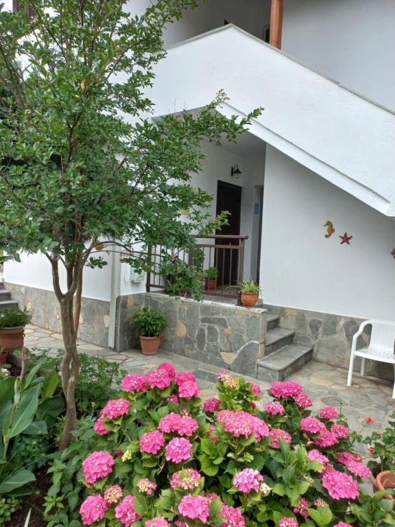 Zahrada ubytování Pension Marina