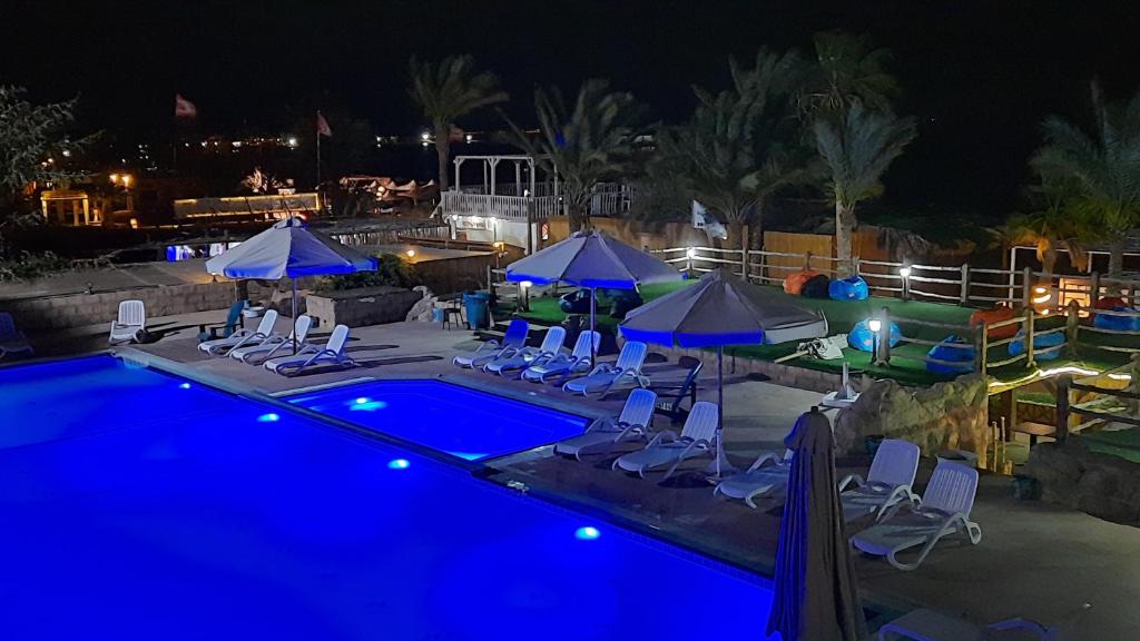 ダハブにあるPanda resortの夜の椅子とパラソルのあるプール