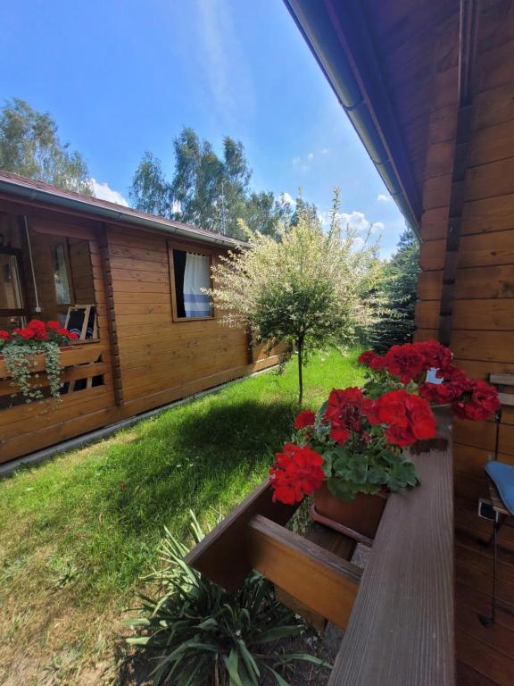 Zahrada ubytování Camping Family