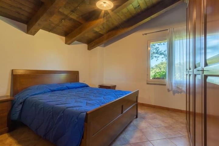 a bedroom with a bed with blue sheets and a window at Ampia e luminosa stanza Janas in Fonni