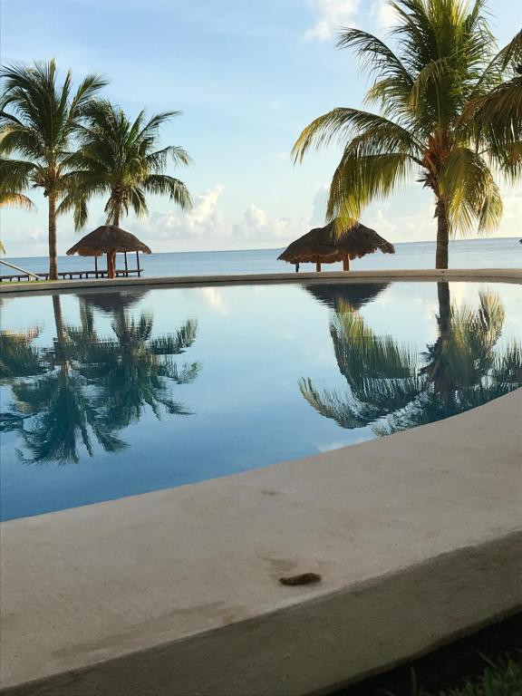 a swimming pool with palm trees and the ocean at Front beach private room with shared bathroom in Cancún