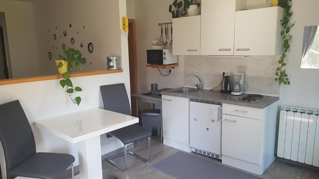 Kuchyň nebo kuchyňský kout v ubytování Apartments Tatjana