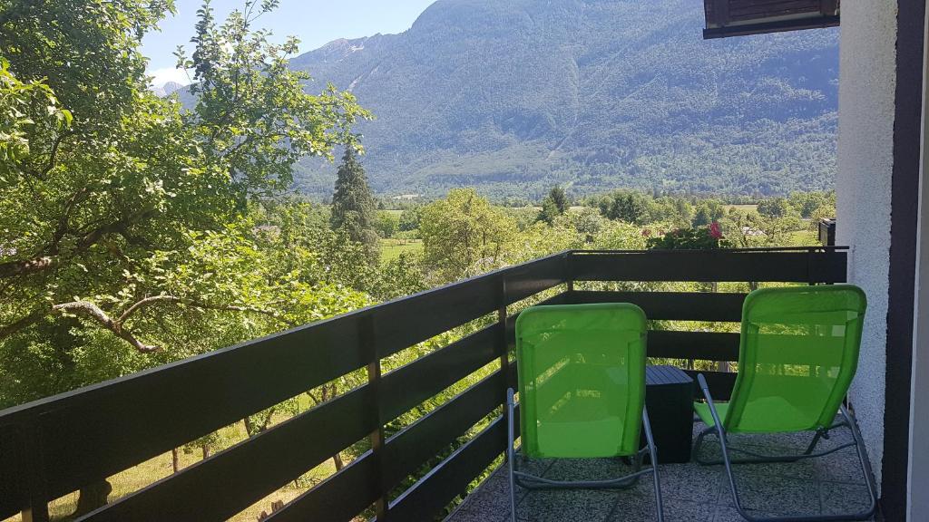 Příroda nedaleko apartmánu