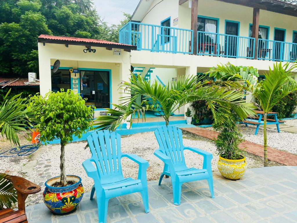 Zahrada ubytování Hotel Diversion Tropical