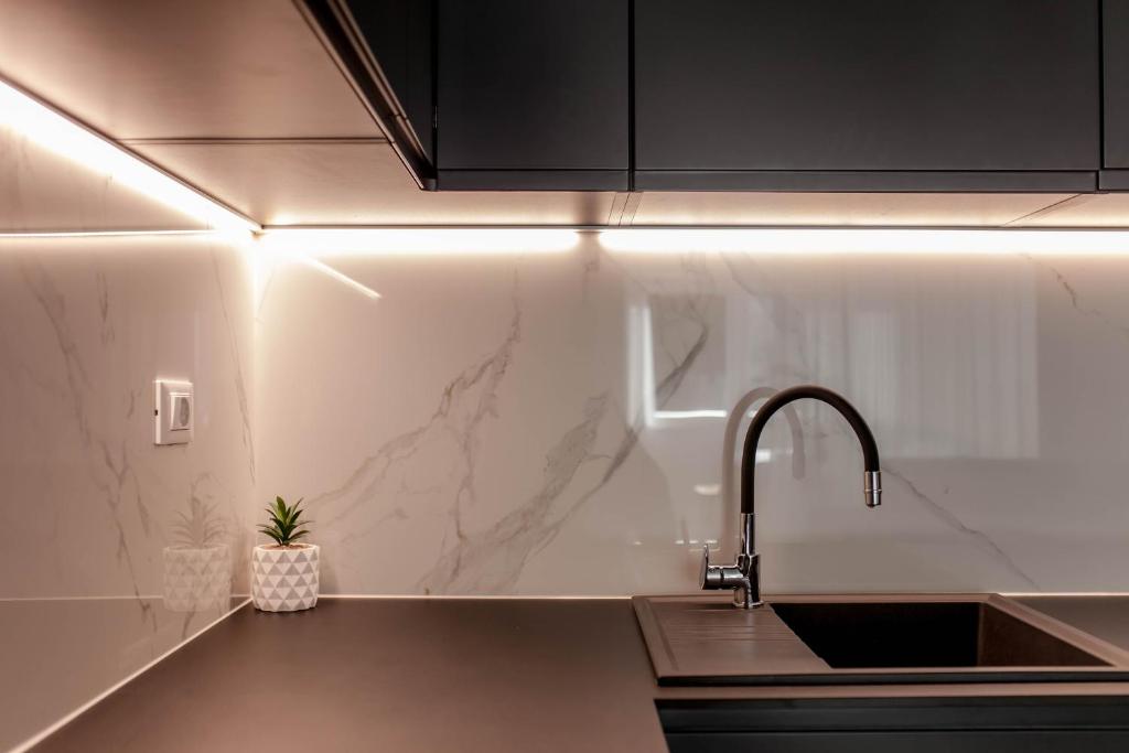 Kuchyňa alebo kuchynka v ubytovaní Apartment Sika
