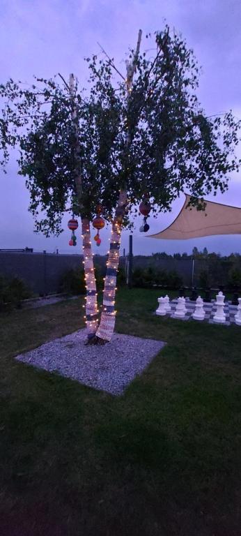 Zahrada ubytování Corden Village
