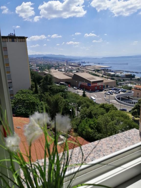 Príroda v okolí apartmánu