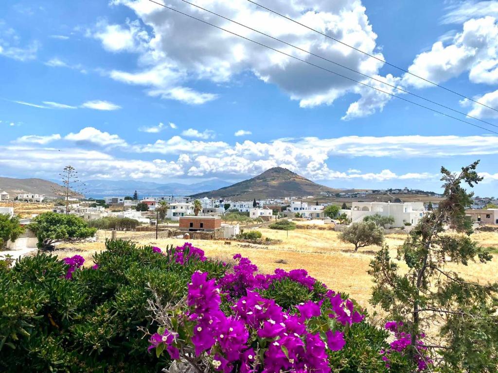 a view of a town with flowers in the foreground at Gaia home in Prodromos Paros