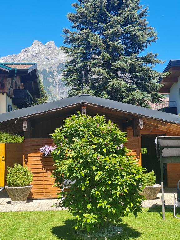 Zahrada ubytování Gästehaus Gamsblick