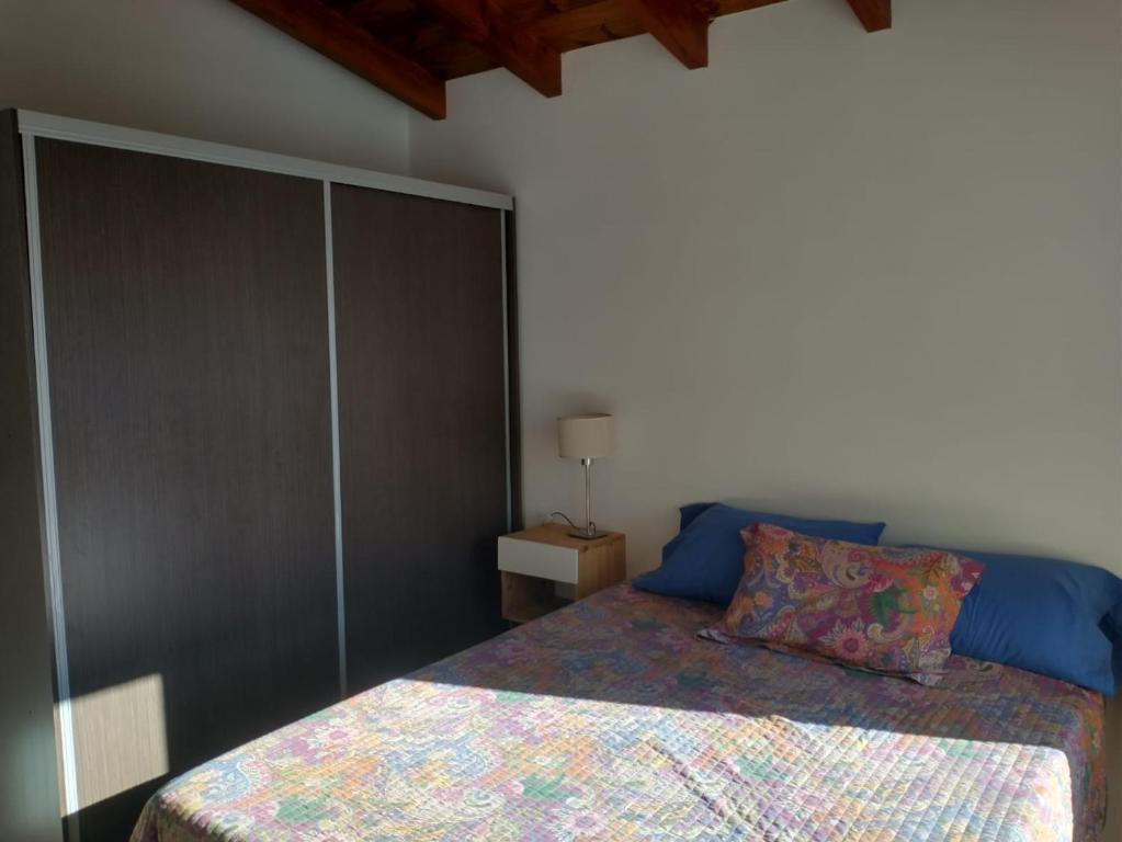 a bedroom with a bed and a large closet at PeHache Bariloche in San Carlos de Bariloche