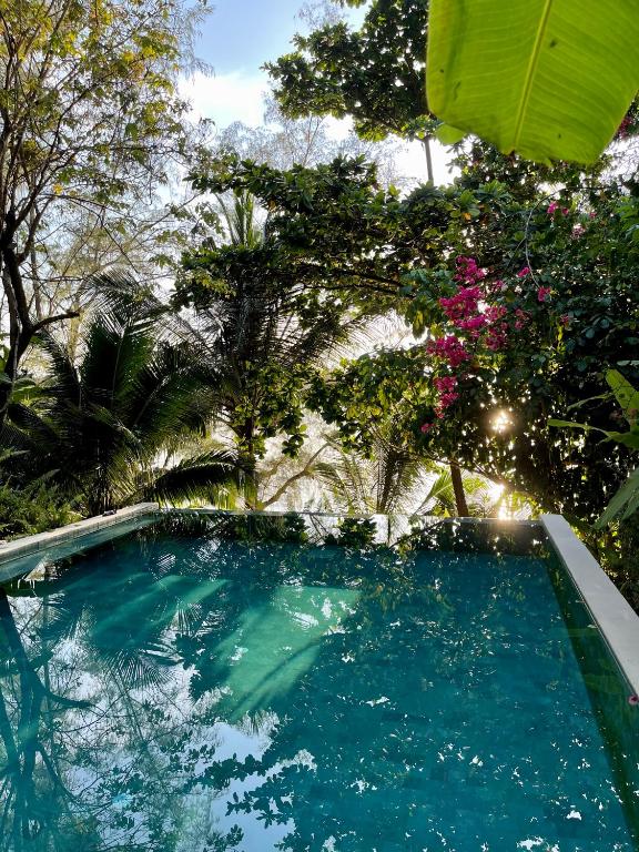 Coconut Beach Bungalows - 18