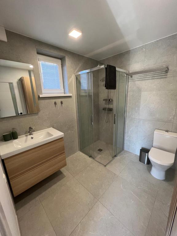 a bathroom with a shower and a sink and a toilet at Apartamentai “Kuršių Snauda” in Palanga