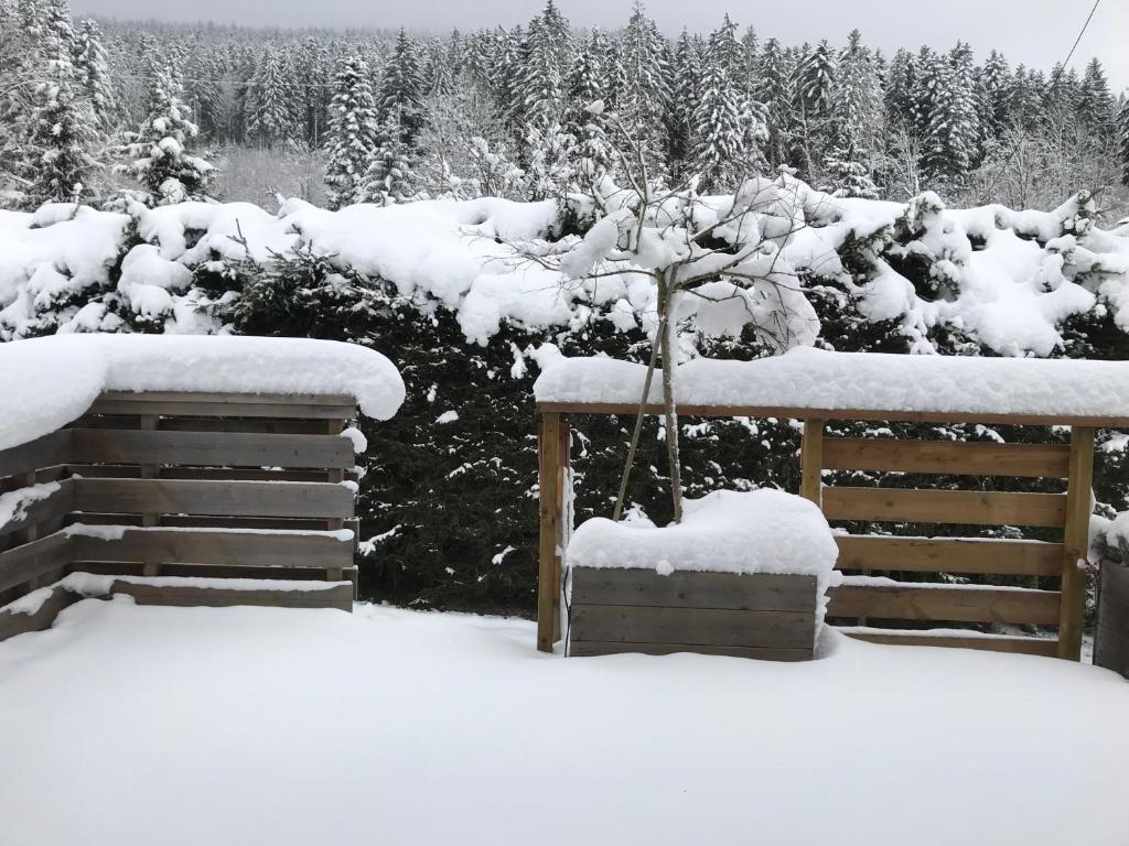 Obiekt Le Grand Sapin. Maison au calme proche commerces zimą