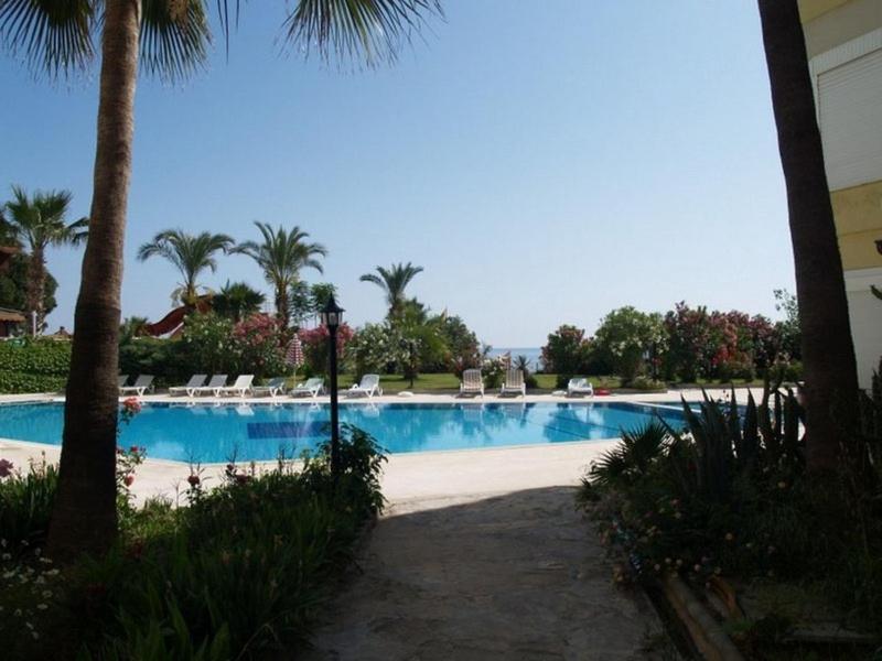 a large swimming pool with chairs and palm trees at Royal Ruth in Alanya
