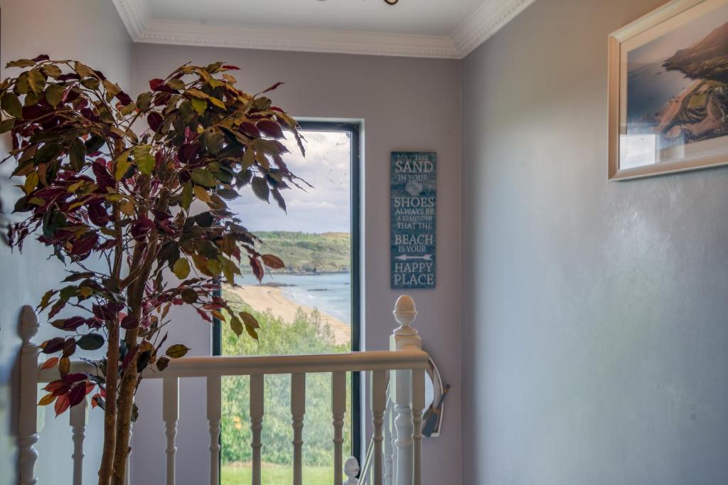 Fotografie z fotogalerie ubytování Fintra Beach B&B v destinaci Donegal