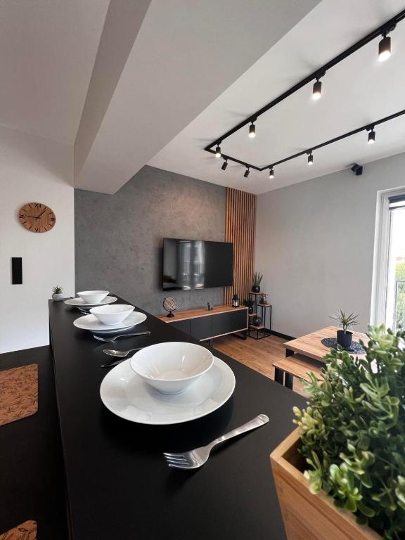 Televízia a/alebo spoločenská miestnosť v ubytovaní Apartament Helsinki