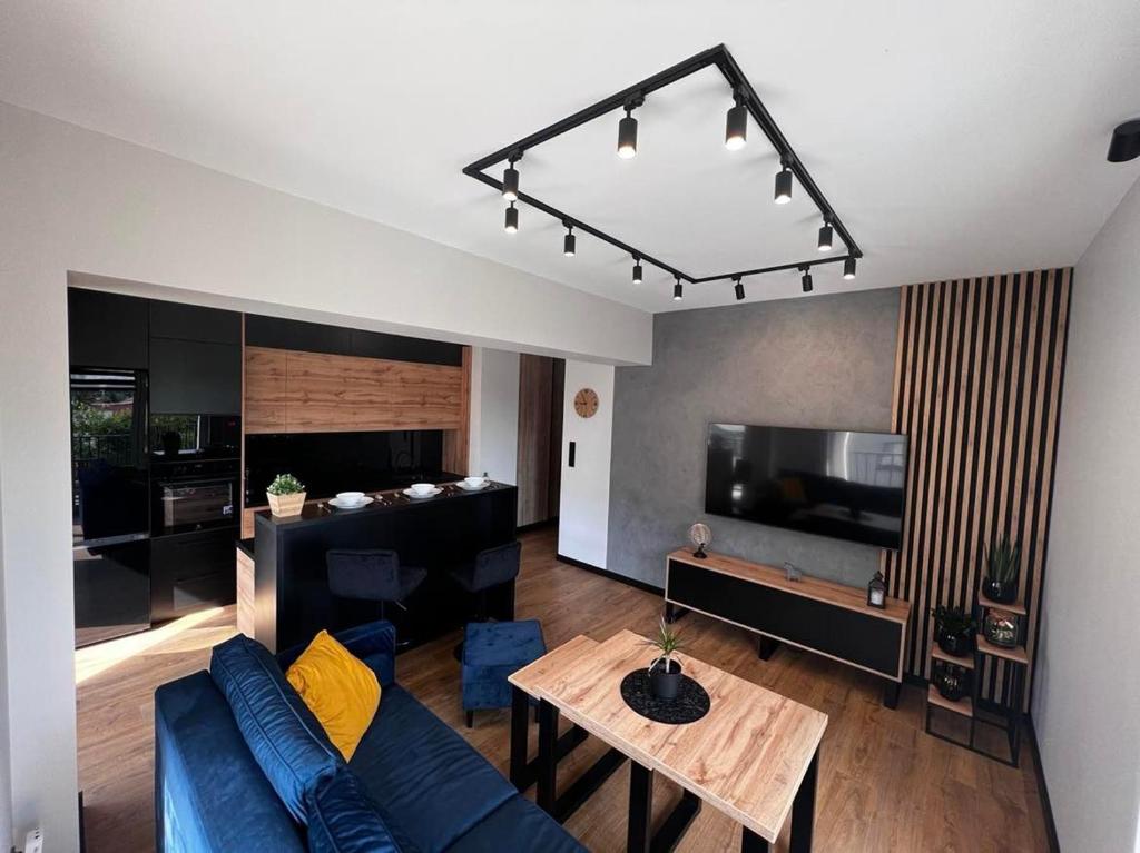 Televízia a/alebo spoločenská miestnosť v ubytovaní Apartament Helsinki