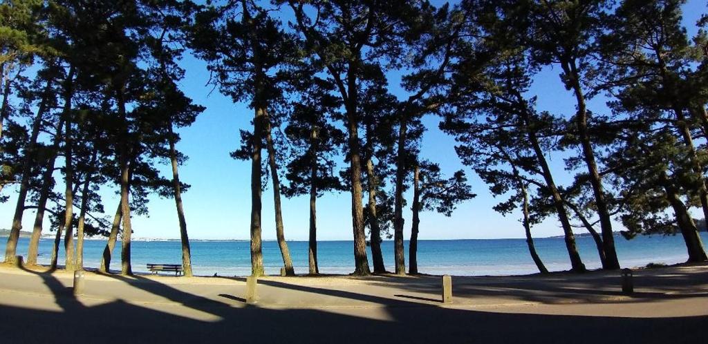 un groupe d'arbres sur une plage au bord de l'océan dans l'établissement Cap coz 5 pers., plage piscine et jardin, à Fouesnant