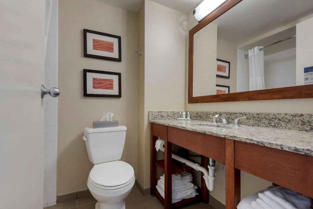 a bathroom with a toilet and a sink with a mirror at Comfort Inn The Pointe in Niagara Falls