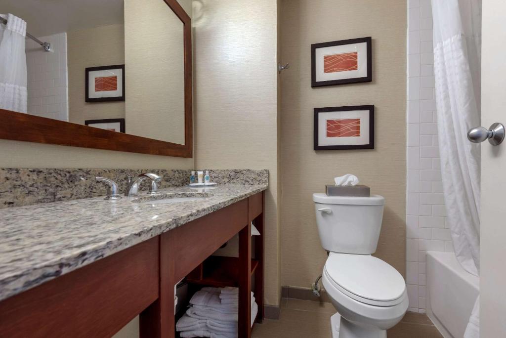 a bathroom with a toilet and a sink and a mirror at Comfort Inn The Pointe in Niagara Falls