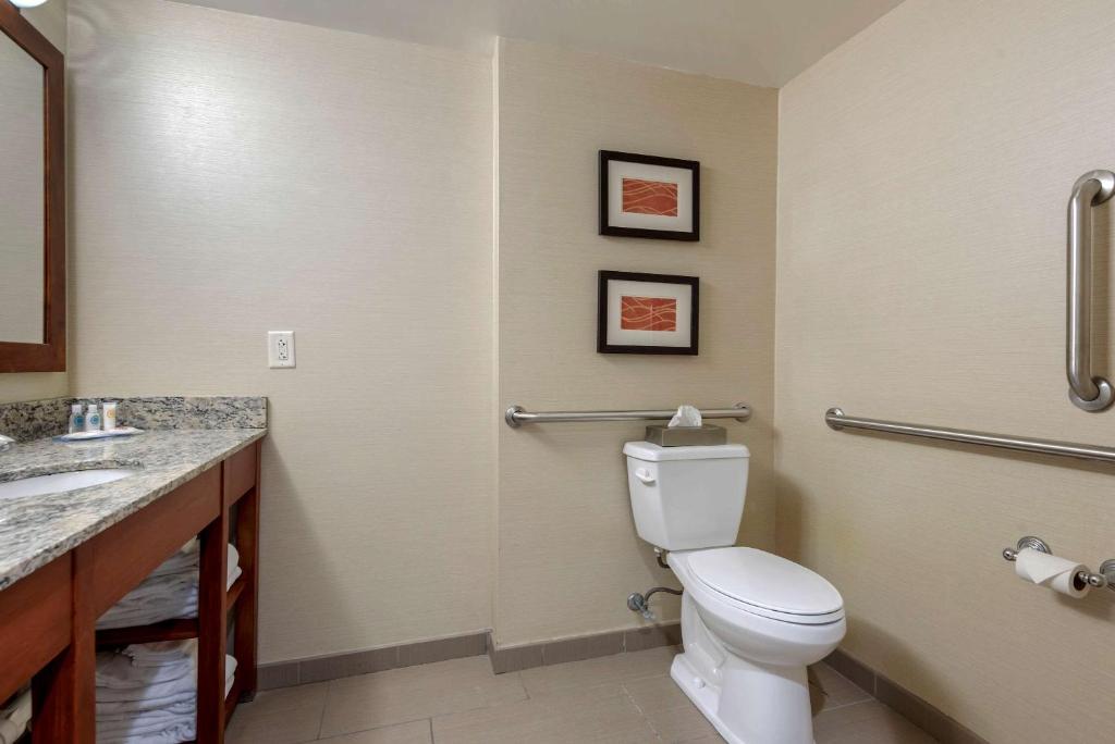 a bathroom with a toilet and a sink at Comfort Inn The Pointe in Niagara Falls