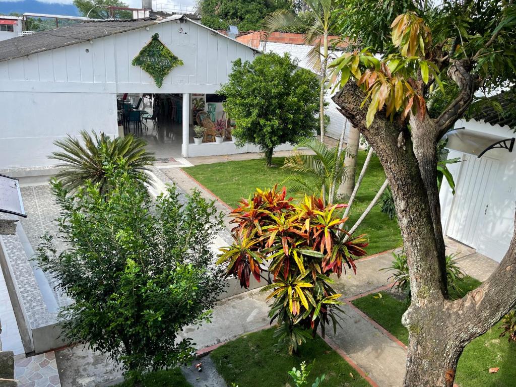 Zahrada ubytování Kalathea Casa