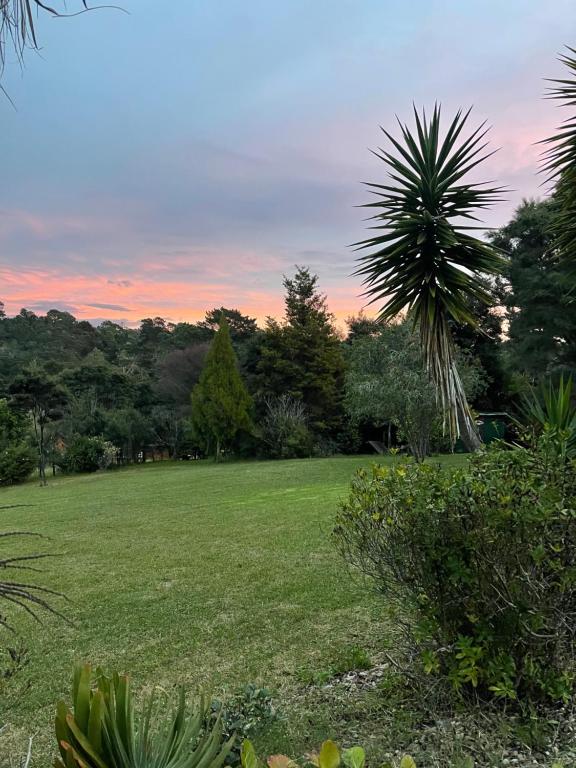 Een tuin van Romantic vintage retreat away in West Auckland