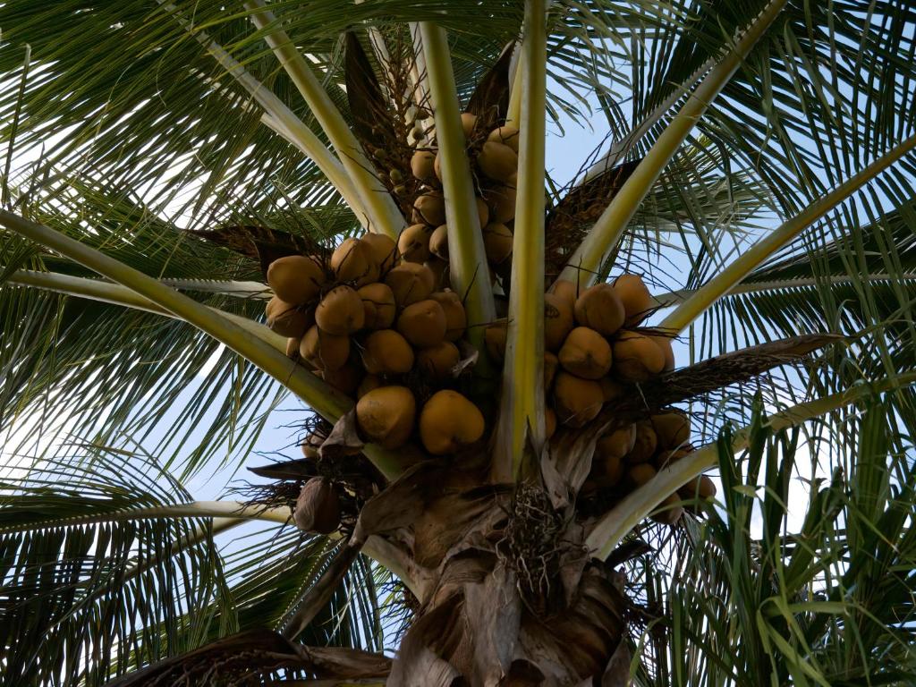 Hotel Tropiq - Resim 12