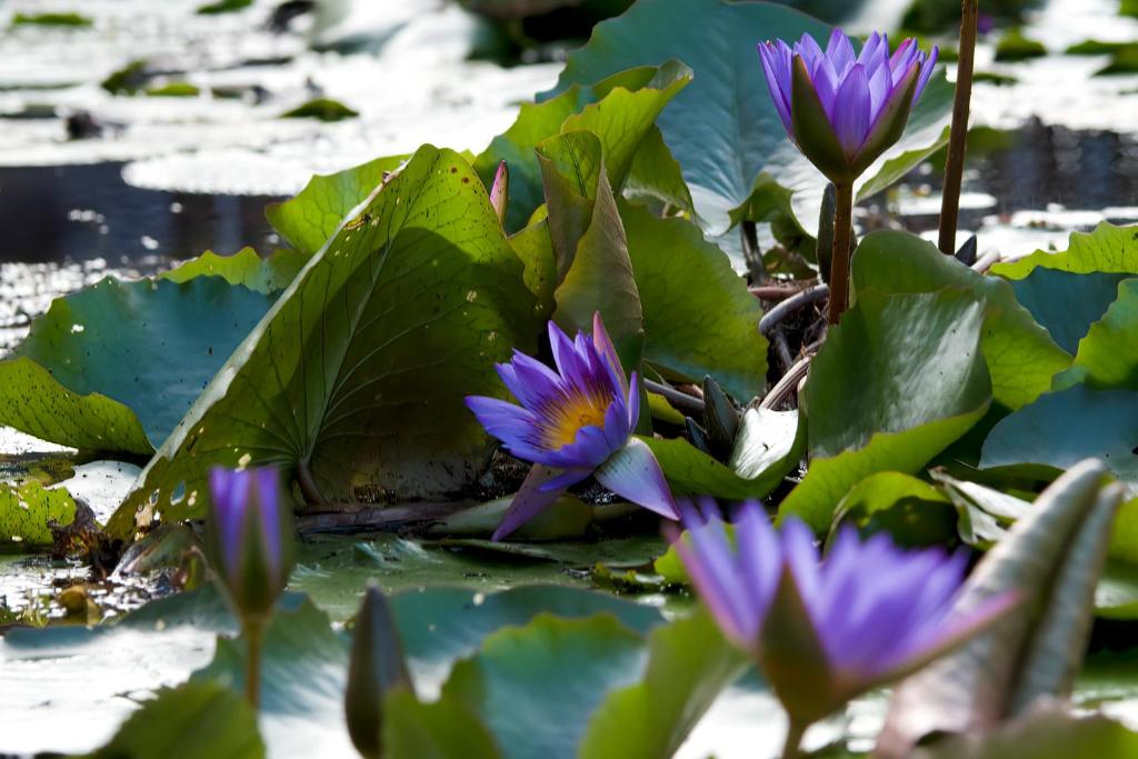 Hotel Tropiq - Resim 26