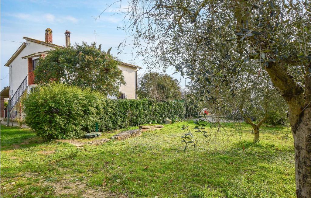 a yard with a house and a tree in the foreground at Gorgeous Apartment In Magliano In Toscana With Wifi in Magliano in Toscana