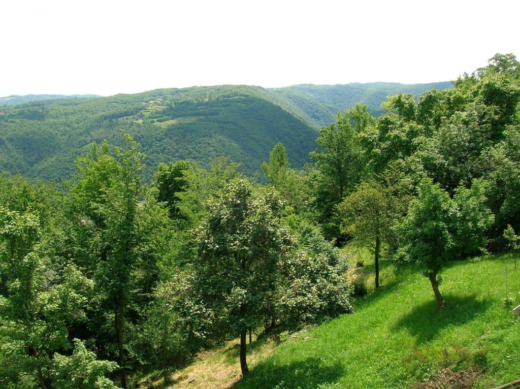 Příroda nedaleko bed and breakfast