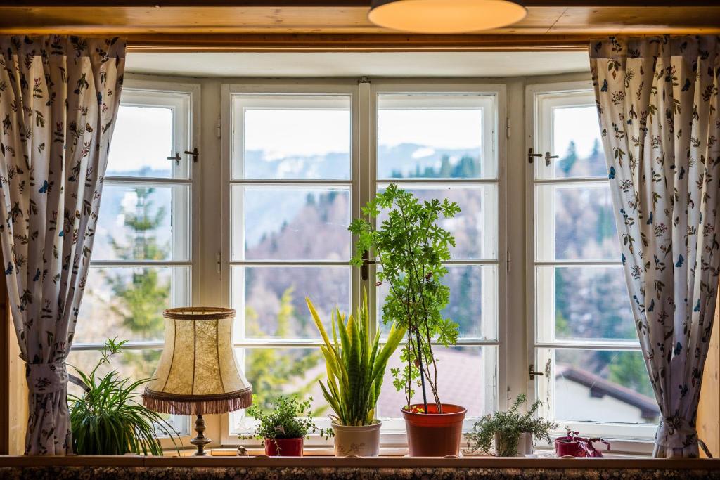 Vonkajšia záhrada v ubytovaní Ferienhaus Kräuterhäusl