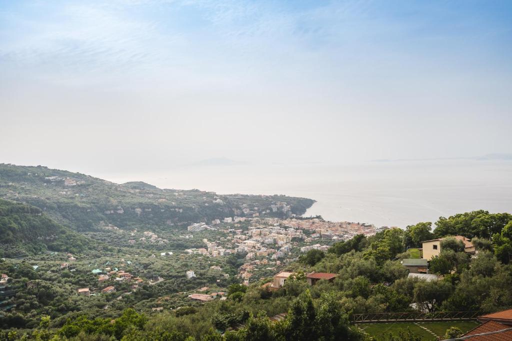 Táj Show holiday homes közelében