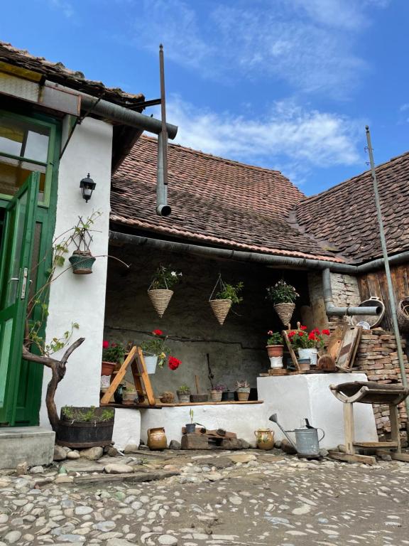 Budova, kde se the country house nachází