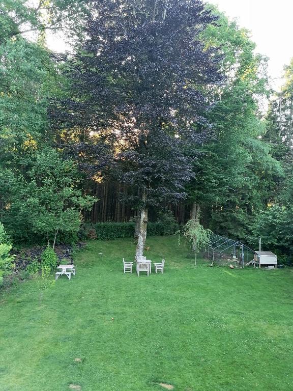 Zahrada ubytování Les studios du Domaine d'Eva