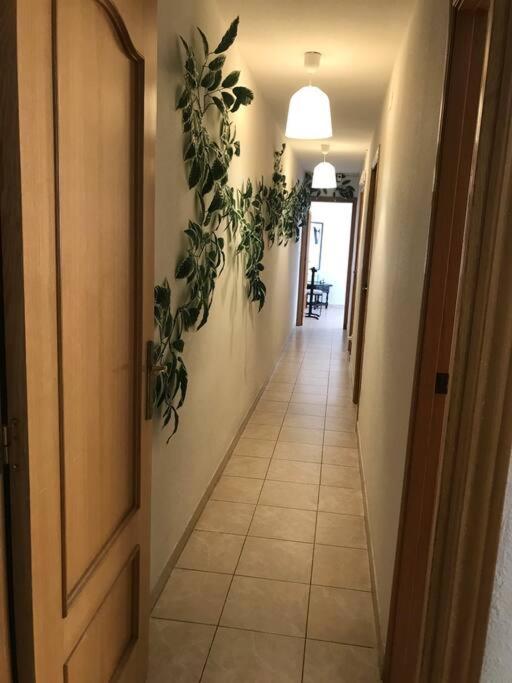 Booking.com: Apartamento HOME ALICANTE Molins 16 , Alicante ...