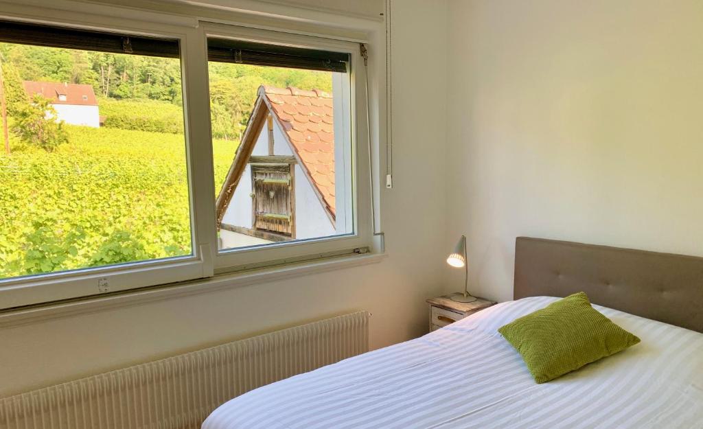 Gite Les deux belettes - Appartements meublés à Riquewihr - Vue vignoble – photo 28