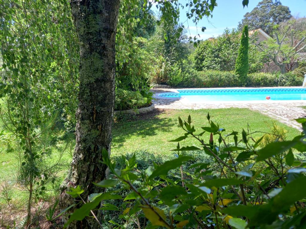 uma piscina no quintal de uma casa em Casa Ramoniña em Ribeira
