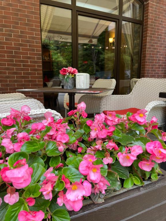 Casa Iris-Hotel & Restaurant - Resim 35