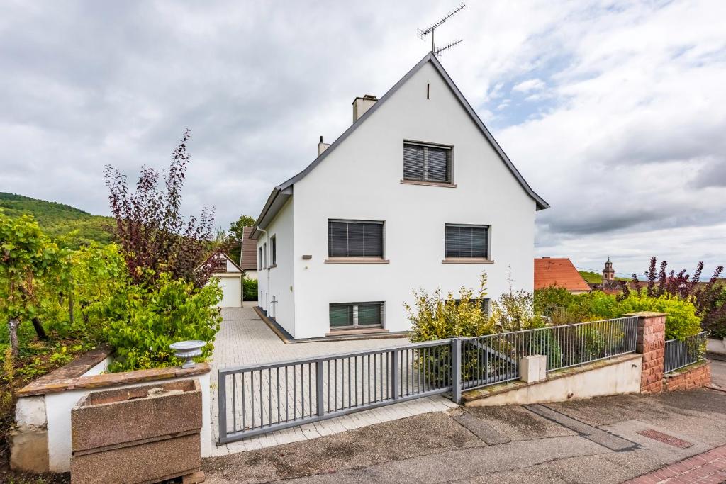 Gite Les deux belettes - Appartements meublés à Riquewihr - Vue vignoble – photo 23
