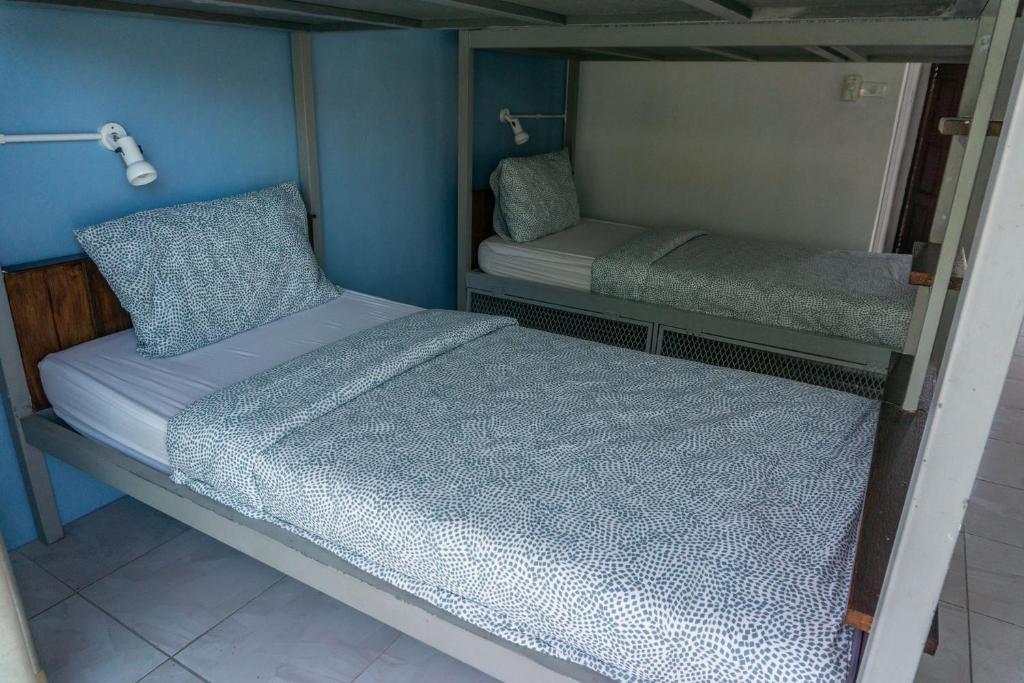 Voodi või voodid majutusasutuse Isla Tortuga Diving & Hostel toas