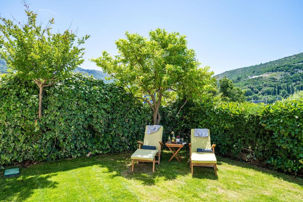 Príroda v okolí apartmánu