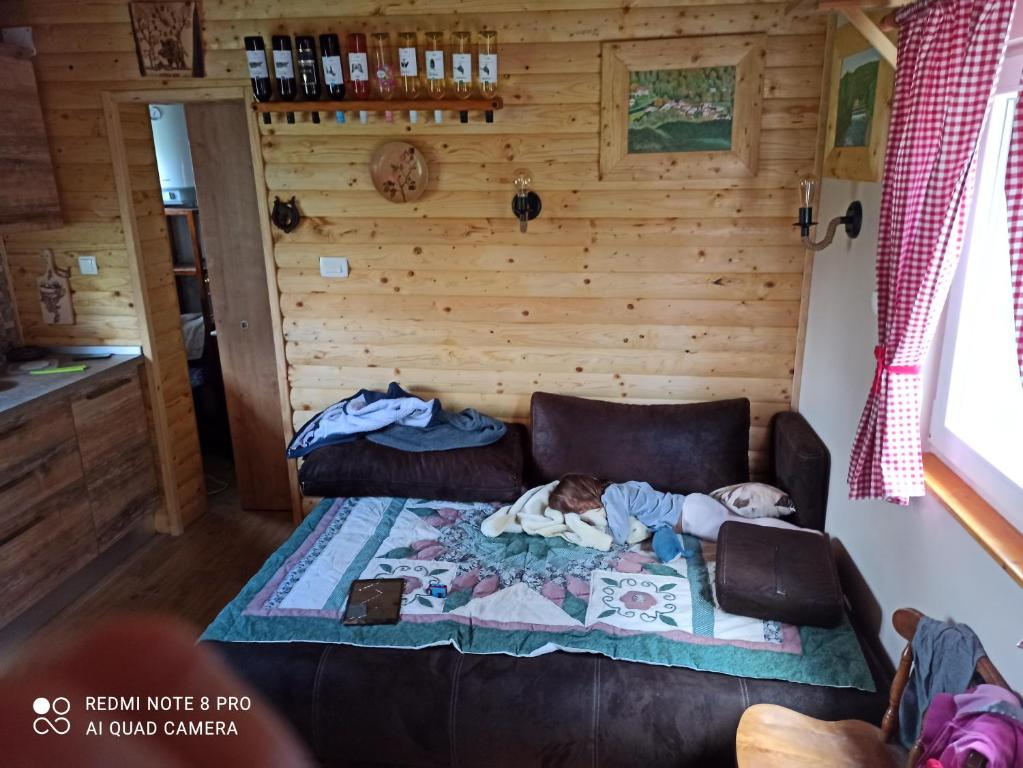 Nápoje v ubytování Green House