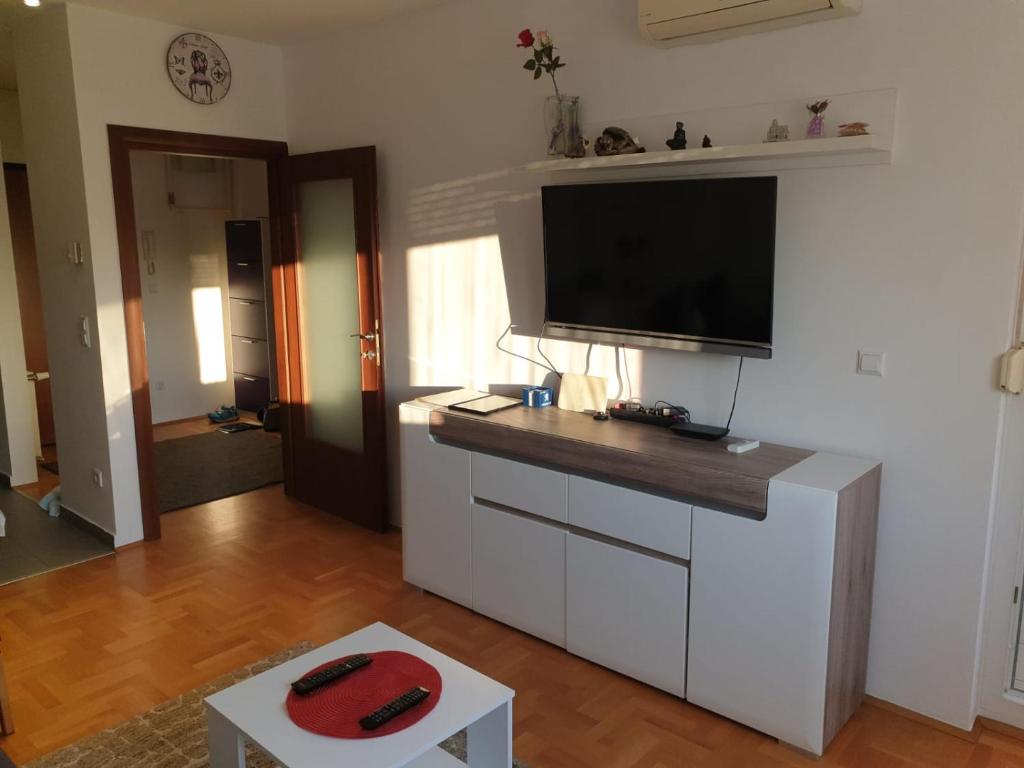 Televízia a/alebo spoločenská miestnosť v ubytovaní Apartman Džakula