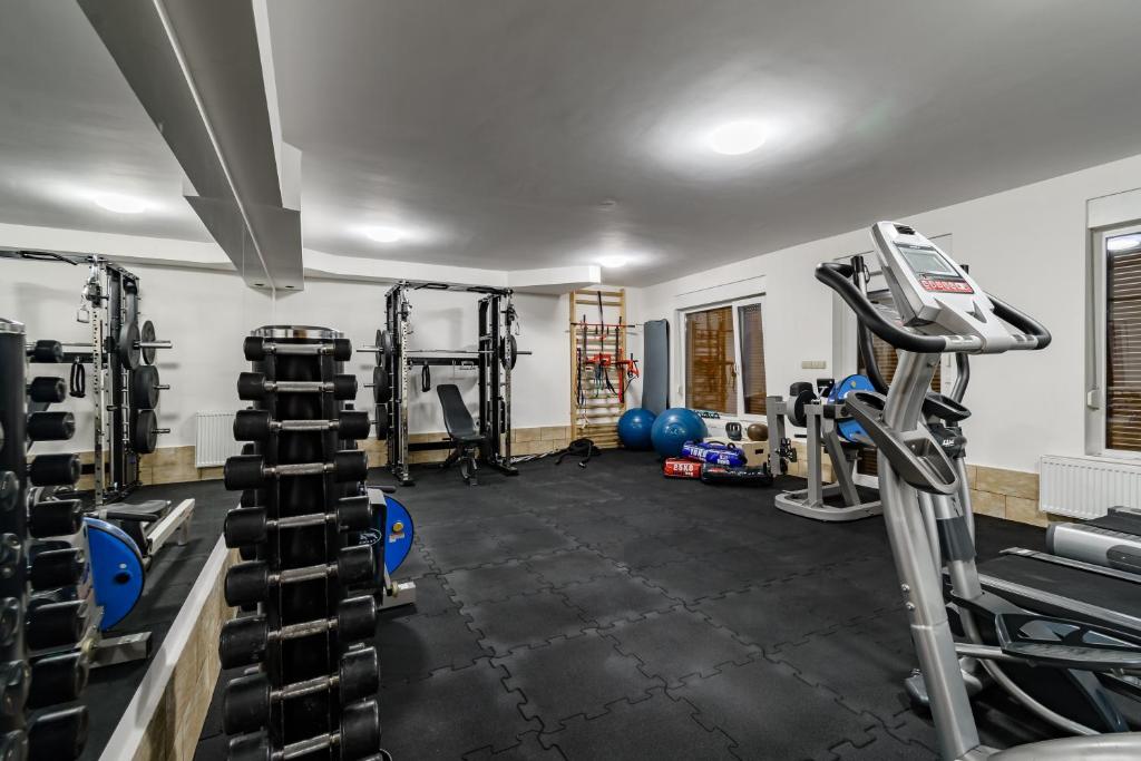 Posilňovňa alebo fitness centrum v ubytovaní Paula Wellness & SPA