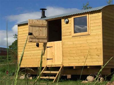 a small wooden house with a ladder in a field at The Shepherd's Hut with swimming pool in Wrexham