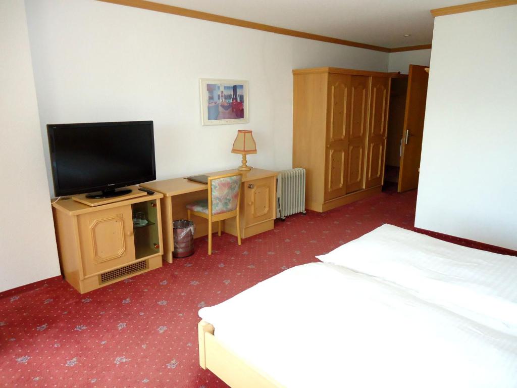 TV a/nebo společenská místnost v ubytování Grand Hôtel du Parc
