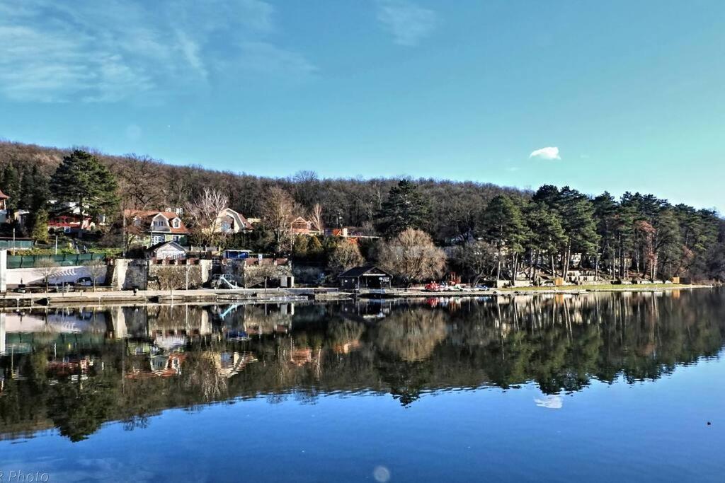 a large lake with houses and trees in the background at LakeLove Házikó Sopron- Erdő és tópart mellett in Sopron